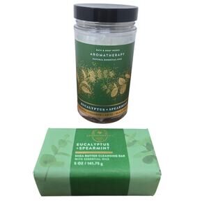 Bath Body Works Aromatherapy Eucalyptus Spearmint Shower Steamers Cleansing Bar